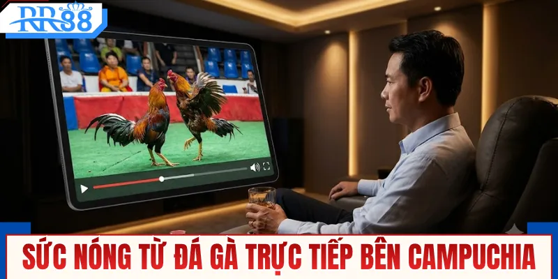 Sức nóng từ đá gà trực tiếp bên Campuchia